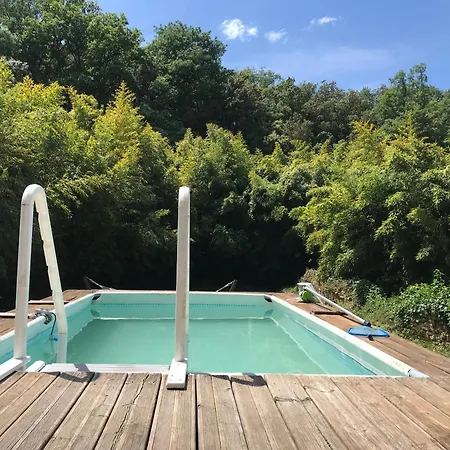 Au Milieu Des Bois